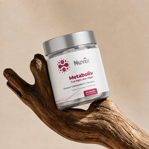 Metaboliv